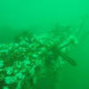 Picture taken during the dive