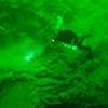 Picture taken during the dive