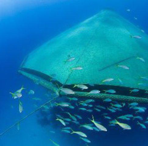 Aqua Cat Cruises - Liveaboard in 巴哈马