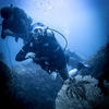 Picture taken during the dive