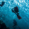 Picture taken during the dive