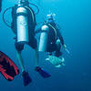 Picture taken during the dive