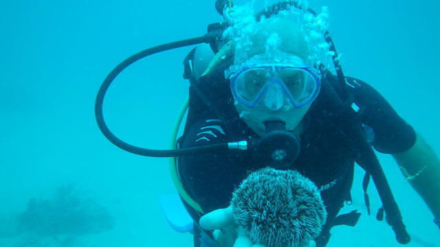 Gri Gri Divers - Dive Center