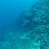 Picture taken during the dive