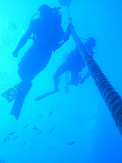 Dive Oahu, Inc. - Dive Center in United States