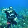 Picture taken during the dive