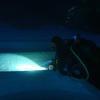 Picture taken during the dive