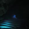 Picture taken during the dive