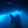 Picture taken during the dive