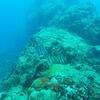 Picture taken during the dive