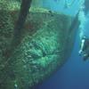 Picture taken during the dive