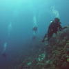 Picture taken during the dive