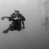 Picture taken during the dive