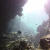 Picture taken during the dive
