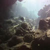 Picture taken during the dive