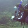 Picture taken during the dive