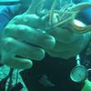 Picture taken during the dive