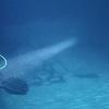 Picture taken during the dive