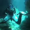 Picture taken during the dive