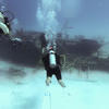 Picture taken during the dive