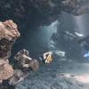 Picture taken during the dive