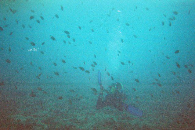 Plongee France Jandia Sub - Dive Center in Spain