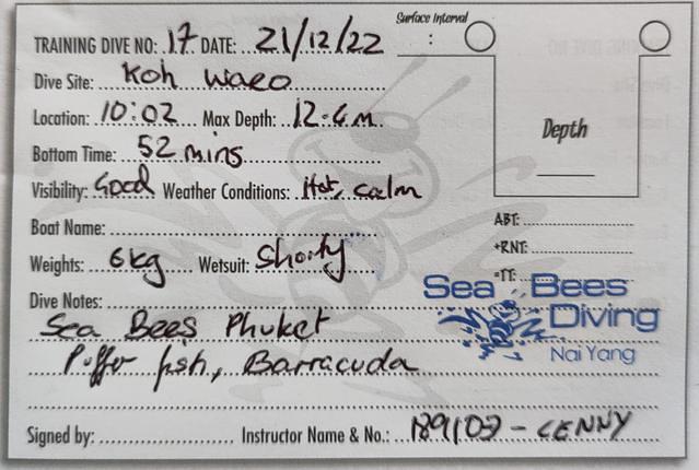 Sea Bees Diving - Dive Center in Thailand
