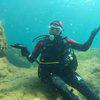 Picture taken during the dive