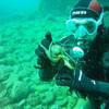 Picture taken during the dive