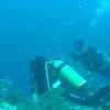 Picture taken during the dive