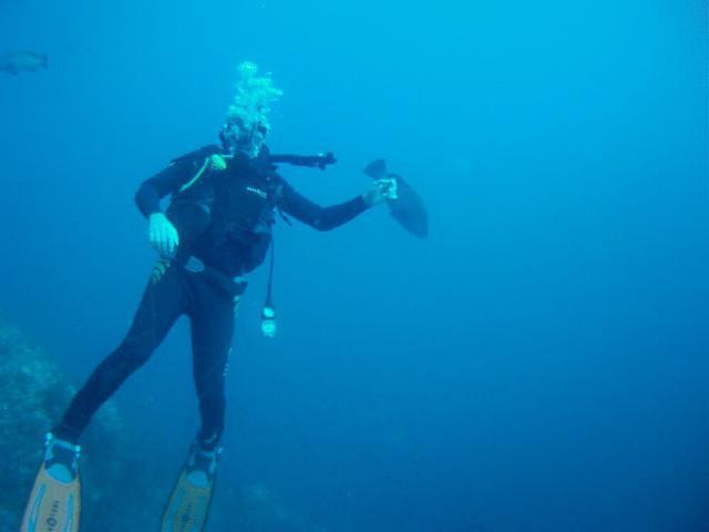 Naranjito Buceo - Dive Center in Spain