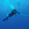 Picture taken during the dive