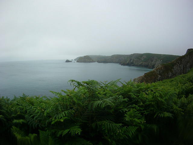 Les Plongeurs Du Cap - Dive Center in Francia