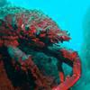 Picture taken during the dive