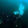 Picture taken during the dive