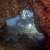 Picture taken during the dive