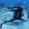 Picture taken during the dive