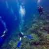 Picture taken during the dive