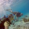 Picture taken during the dive