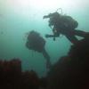 Picture taken during the dive