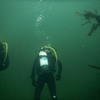 Picture taken during the dive