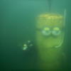 Picture taken during the dive