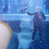 Picture taken during the dive