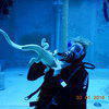 Picture taken during the dive