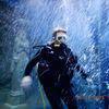 Picture taken during the dive