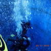 Picture taken during the dive