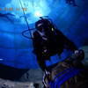 Picture taken during the dive
