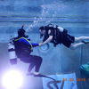 Picture taken during the dive