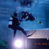 Picture taken during the dive