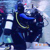 Picture taken during the dive